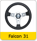 Falcon 31
